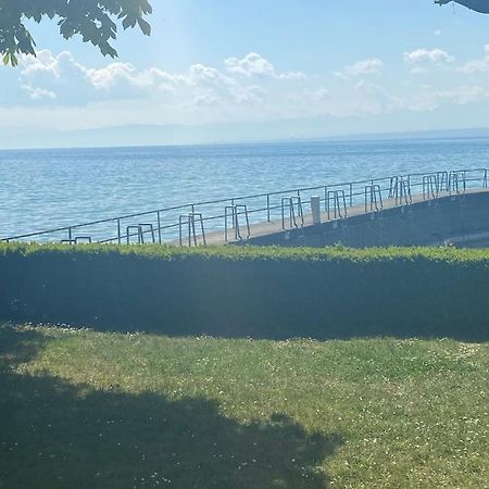 Hagnauer-Ferienwohnung Im Seegarten Kültér fotó